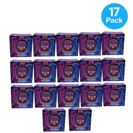 Paw Patrol Pup Squad Mystery Figures 17 Pack collectible set with multiple rescue pups