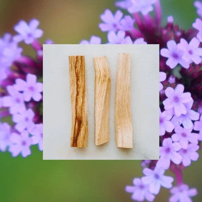 Raw Sugar Simply Deodorant – Santal + Verbena – Pack of 7 (2.7 oz each) NEW