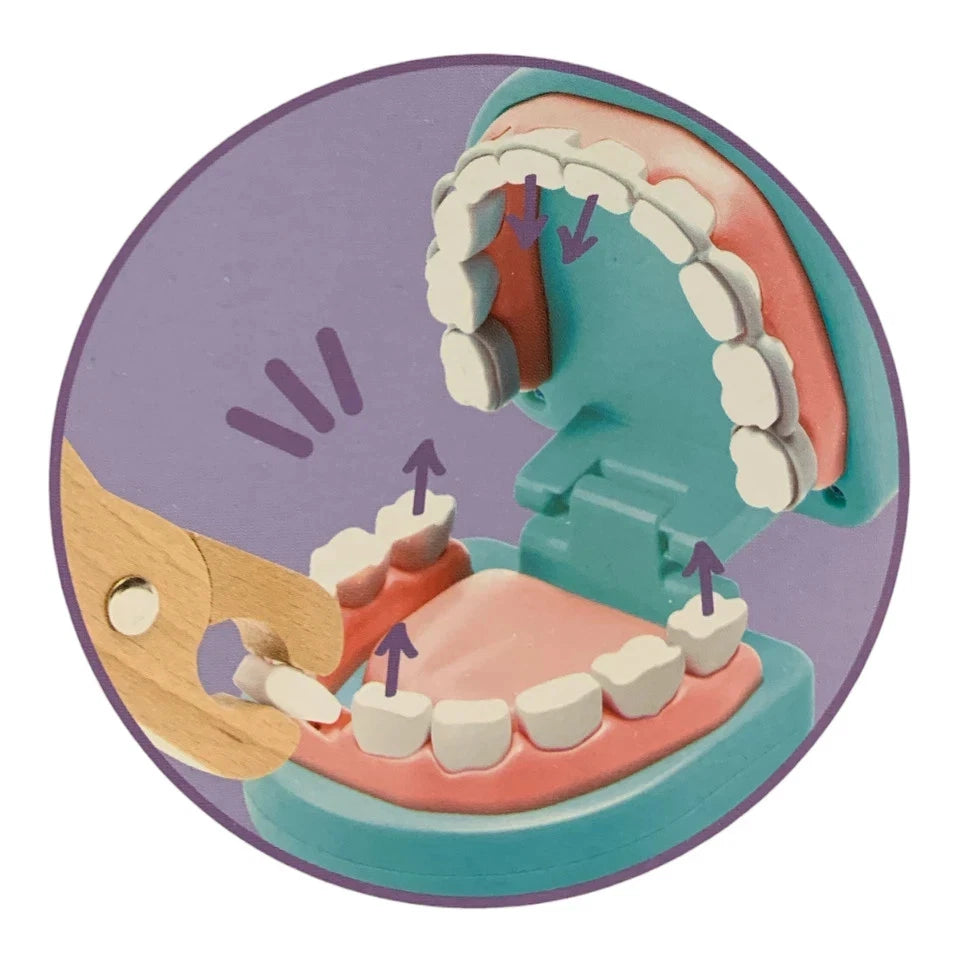 Hape Little Dentist Clinic Set, 39-Piece Educational Pretend Playset 6