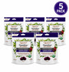 Quantum TheraZinc Elderberry Raspberry Zinc Lozenges 5 pack 18ct boxes immune supplement