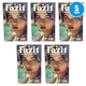 Fazit Temp Make up Patches Gold Speckles Glitter Freckles 30pc Pack of 5 New