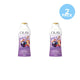 2 Pk Olay Body Wash for Women, Limited Edition: Visions of Sugarplums