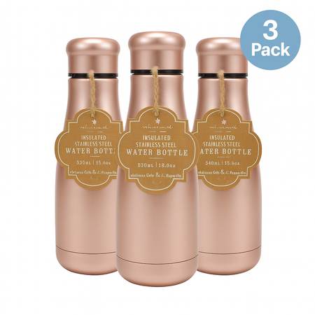 Oak & Reed Stainless Steel Water Bottle 18.6oz 3 Pack New