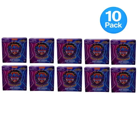 Paw Patrol Pup Squad Mystery Figures 10 Pack New