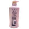 Pantene Pro-V Daily Moisture Renewal Shampoo 500ml 2 Pack New