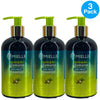Mielle Organics Avocado & Tamanu Anti-Frizz Shampoo Silicone Free 12 Fl Oz 3 Pac