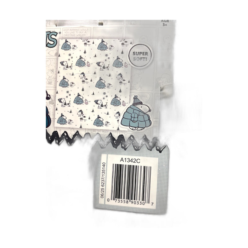 Peanuts Snoopy Woodstock Pillow Blanket Set Winter Pack of 1 New